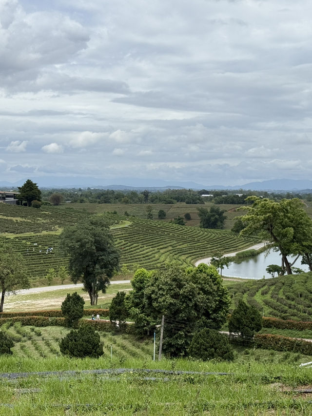 24 hours in Chiang Rai 