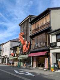 Kinosaki onsen from Kyoto - is the best choice!