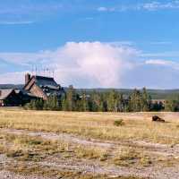 Beyond Old Faithful: Discovering Yellowstone’s Secret Side