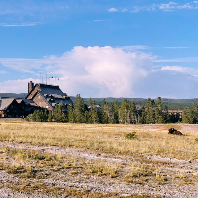 Beyond Old Faithful: Discovering Yellowstone’s Secret Side