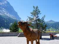 Grindelwald – หมู่บ้านแอลป์สุดโรแมนติกในสวิส