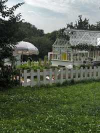 Tsaritsyno countryside 2025
