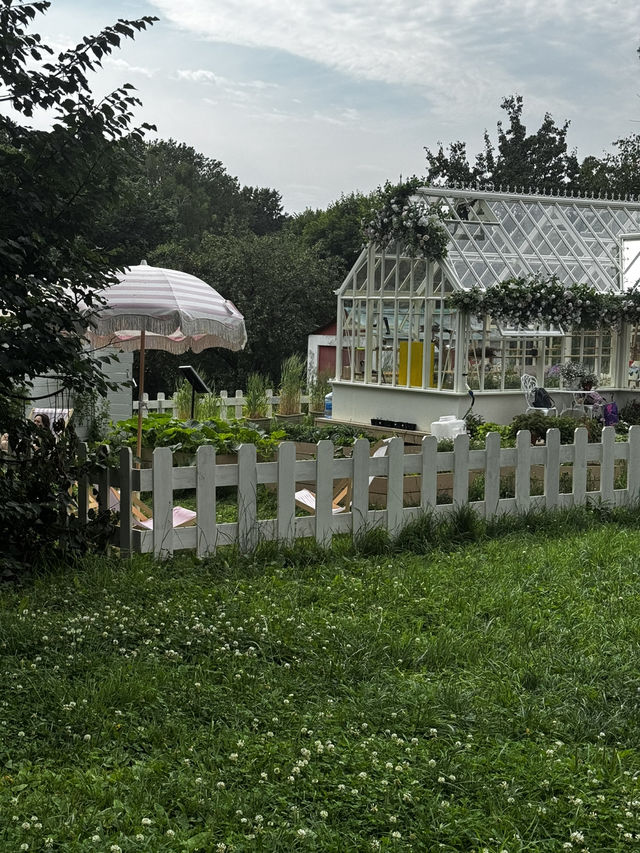 Tsaritsyno countryside 2025