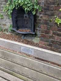 My walk through the Barnes trail in Richmond upon Thames