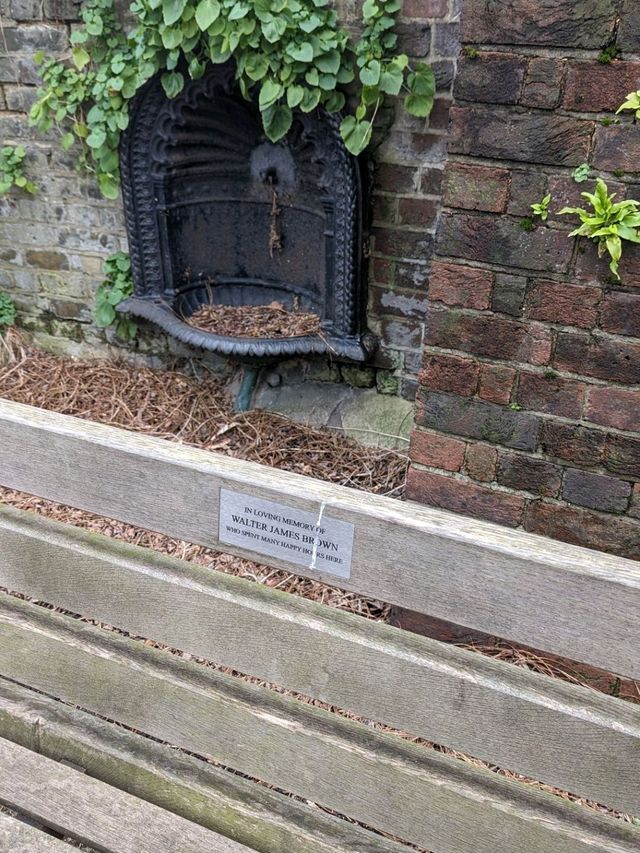 My walk through the Barnes trail in Richmond upon Thames