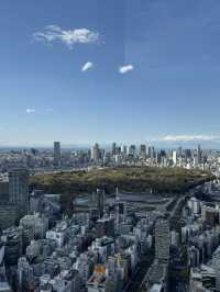 Skyline Dreams Tokyo🌙
