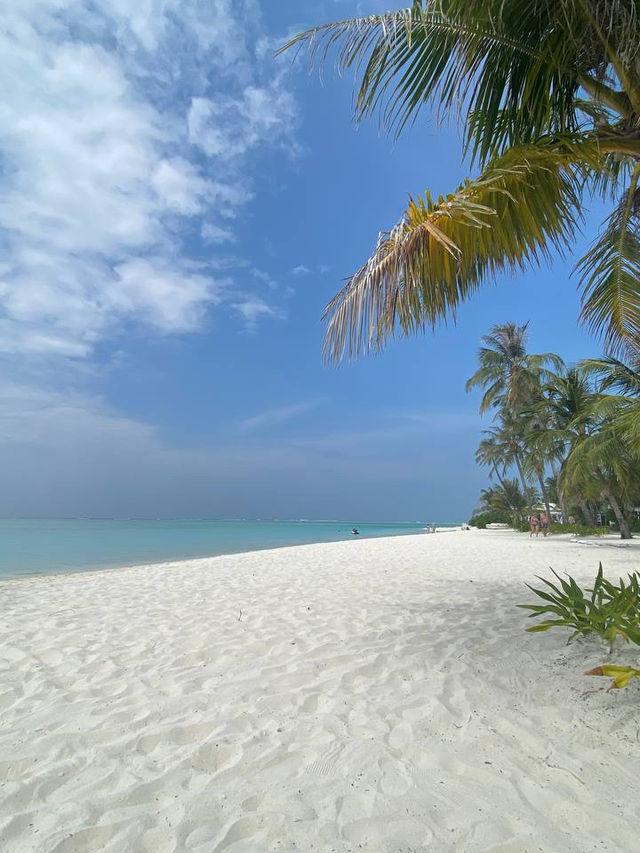 Riu Atoll Maldives — Where the Party Meets Paradise 