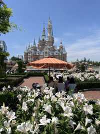 Шанхай красивейший город земли