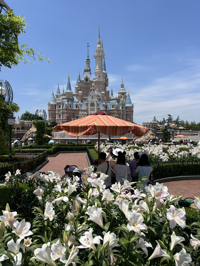 Шанхай красивейший город земли