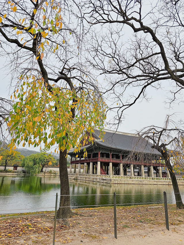 Seoul Vibes: Where Tradition Meets Trend 🇰🇷 