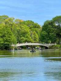 Central Park, it’s basically Hollywood’s favorite green screen!