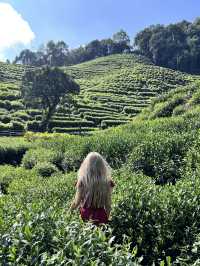 Hangzhou in One Day: What I Wish I Knew Before Going