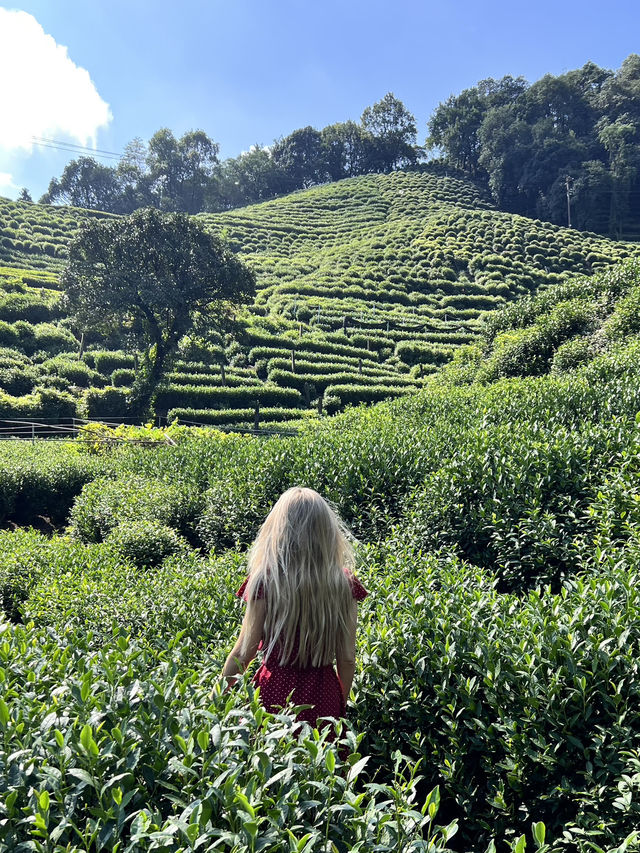 Hangzhou in One Day: What I Wish I Knew Before Going Hangzhou in One Day: What I Wish I Knew Before Going