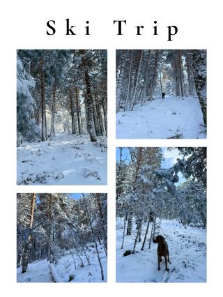 หนีให้พ้นจากความหนาวเย็น❄️