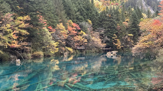 Keindahan Musim Gugur di Taman Nasional Jiuzhaigou yang Tak Terlupakan.