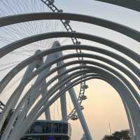 CHILL FERRIS WHEEL RIDE IN SHENZHEN