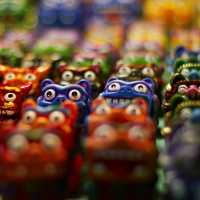 Xishuangbanna Market· Foodie's Paradise 🍴🌶