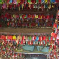 Manting Park - expect the unexpected 