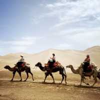 Spectacular Gobi dessert wonders 