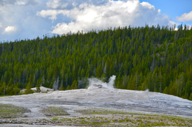 Old Faithful Geyser - the most famous geyser in Yellowstone National Park.