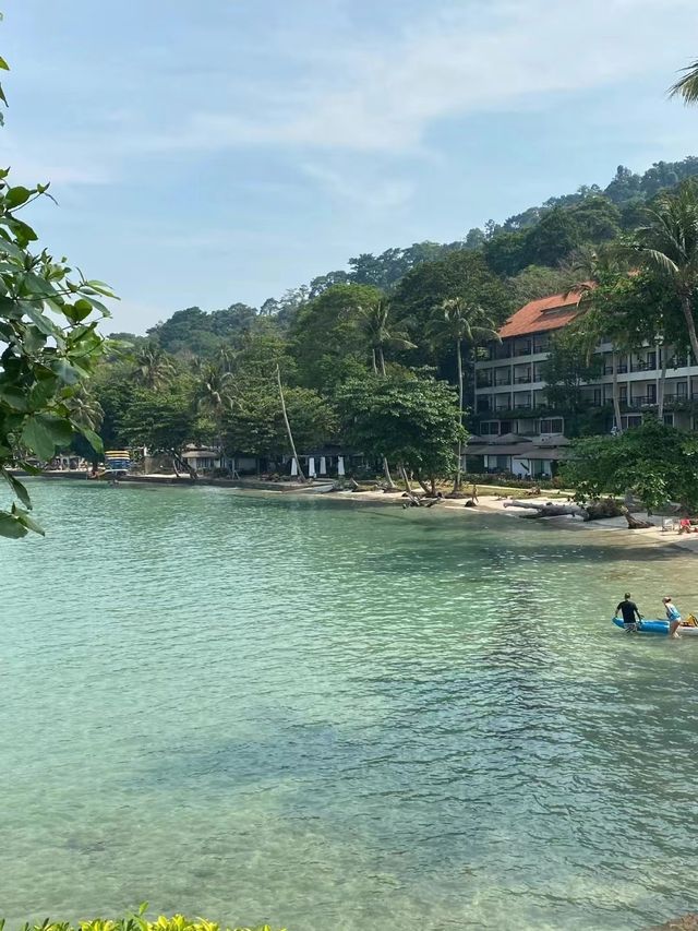 Thai Elephant Island, experience bathing baby elephants.