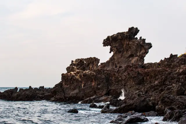 A not-so-prominent "attraction" on Jeju Island's beach.