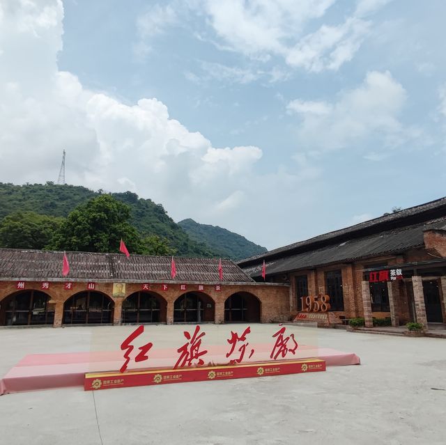 打卡清遠英德紅旗茶廠