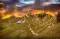 SunburstDusk4567