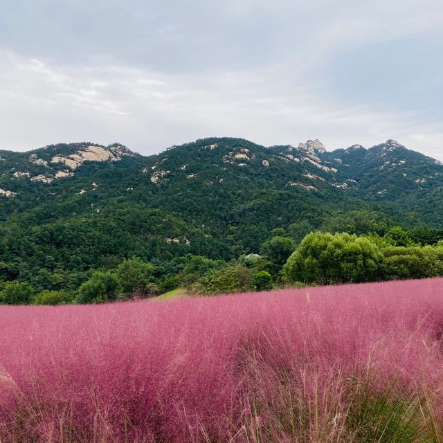 Kunyu Shan 🏔 Yantai China 🇨🇳 