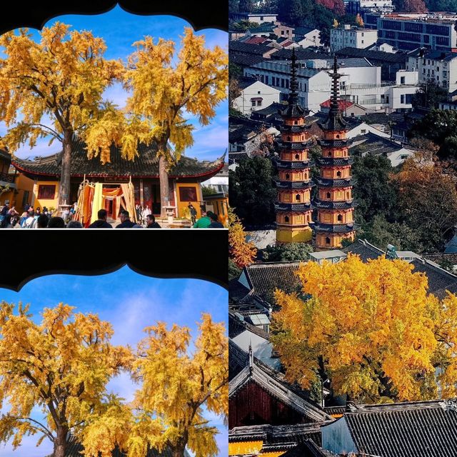 如果你再不來蘇州這個免費寺廟，秋天的美就會稍縱即逝