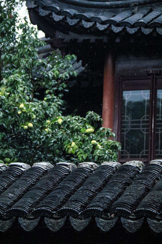 看不夠的江南雨｜雨天慢遊常熟曾趙園宛若走進了詩畫裡