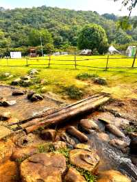 南京老山國家森林公園 | 森林氧吧，徒步踏青好去處