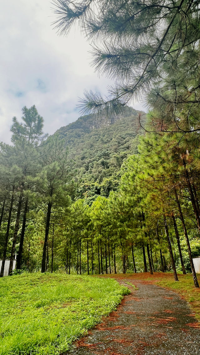 來大山裡呼吸新鮮空氣