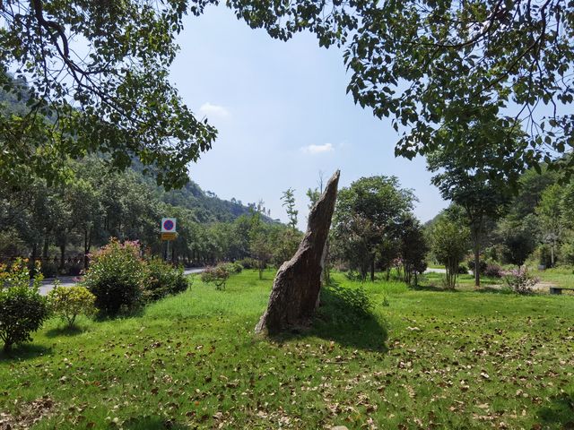 湖北孝感雙峰山森林公園，武漢周邊遊好選擇