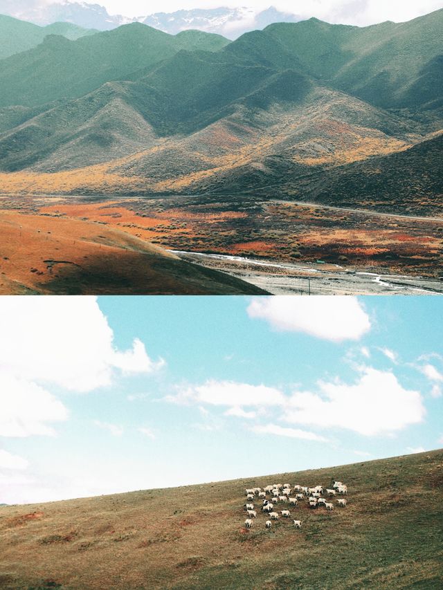 兰州大學城關校區兰州周邊|天祝~小眾旅遊