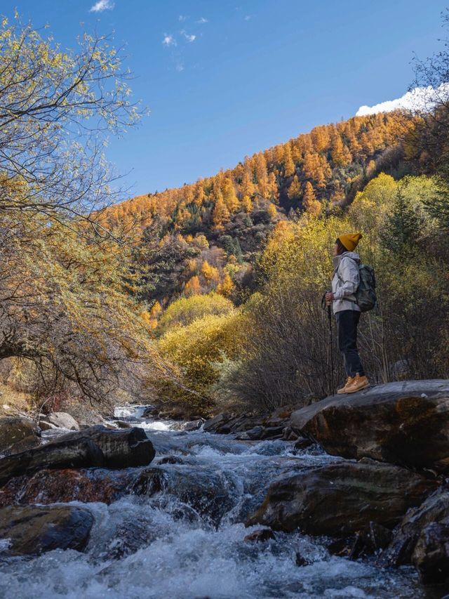 11月四姑娘山3天2晚旅行攻略新鮮出爐