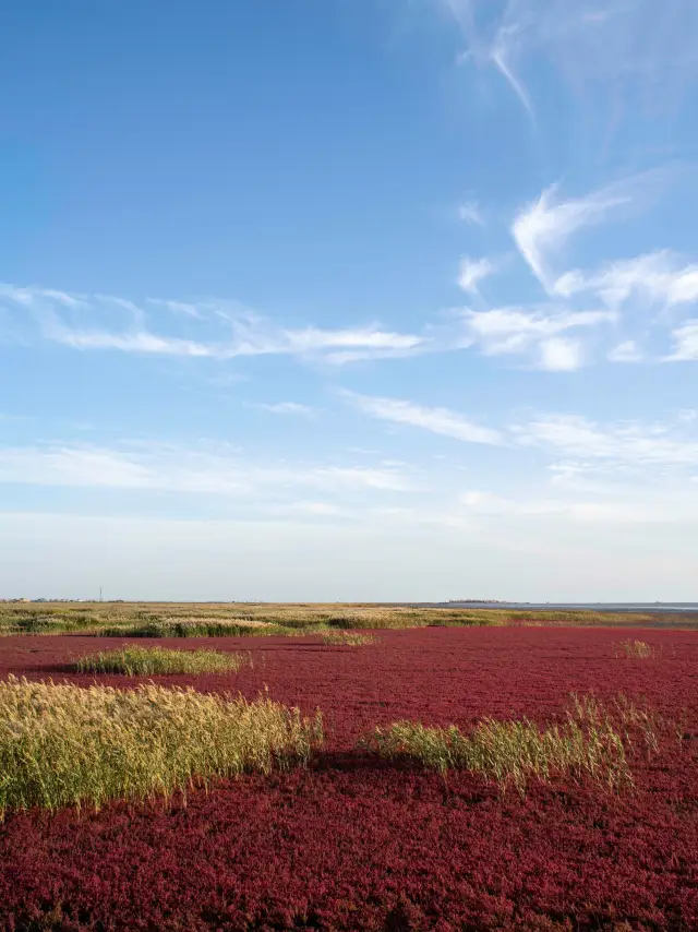 Tourism around Yingkou| Not watching the sea by the sea! The beach is more spectacular