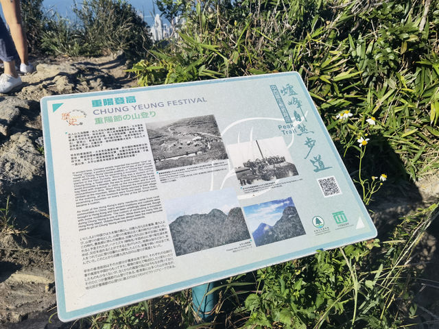 依山看海 | 香港西高山｜登高徒步