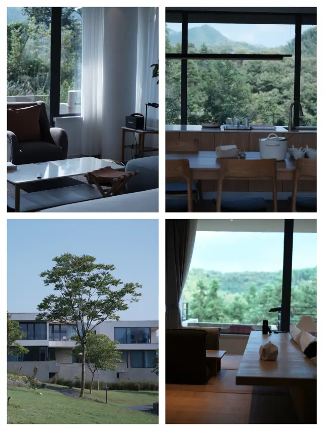 Parent-child | Celebrity same style Anji-Green Mountain Wall Day and Night