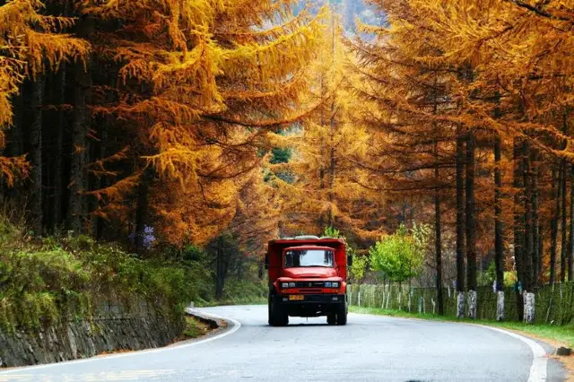 Strongly recommend to take your family to Shennongjia to enjoy the autumn in October and November