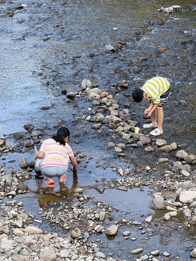一定不能錯過的SEEINGCAMP溪野營地