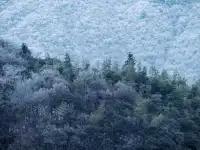 不是四姑娘山去不起，而是龍王山更有性價比