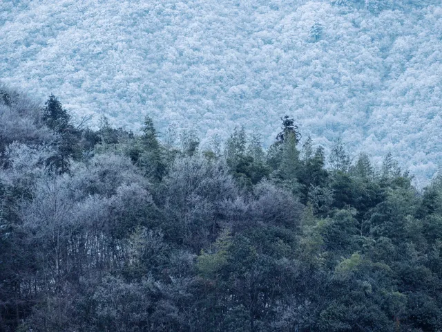 不是四姑娘山去不起，而是龍王山更有性價比