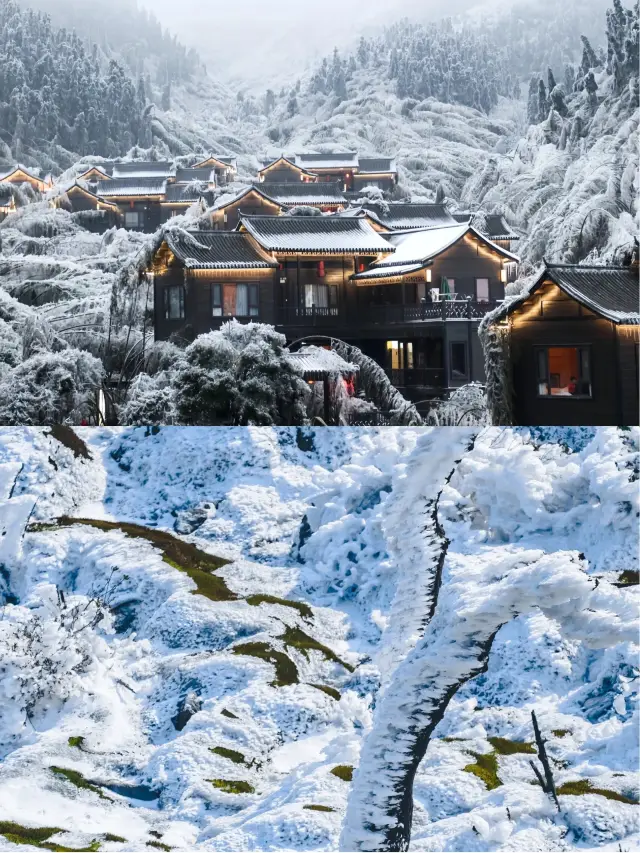 Yun Bing Mountain! Don't miss it when you visit in winter