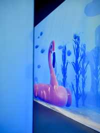香港觀展 | ARTE M沉浸式數碼藝術博物館