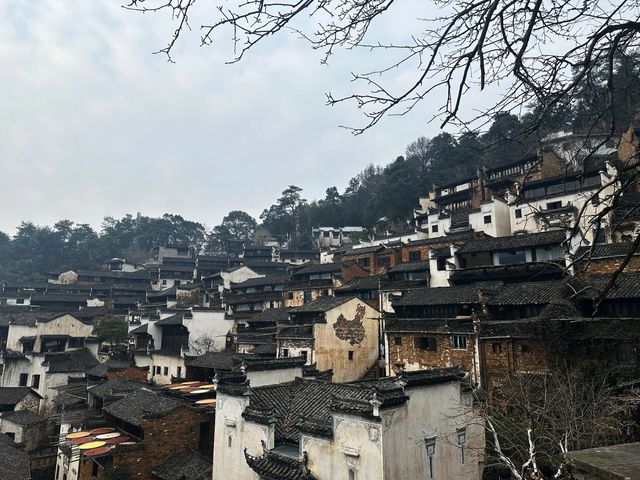 總要來篁嶺看看萬家燈火吧