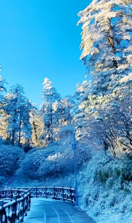 大雪讓這塊寶地裹上了一層銀裝素果，格外耀眼，分外妖嬈