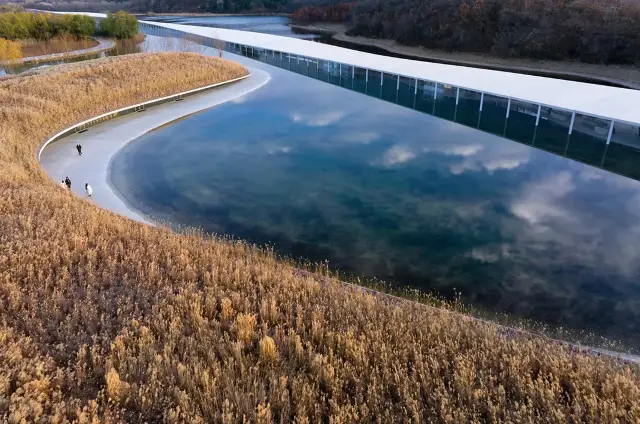 Junya Ishigami's new work in China: At the Water Art Museum, huge yet gentle