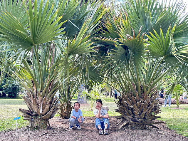 西雙版納-野象谷-中科植物園