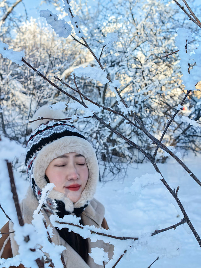 雪嶺芬蘭即視感